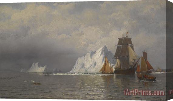 William Bradford Whaler and Fishing Vessels near the Coast of Labrador Stretched Canvas Print / Canvas Art