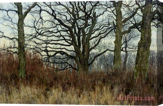 William Fraser Garden Woodland Scene at Twilight Stretched Canvas Painting / Canvas Art