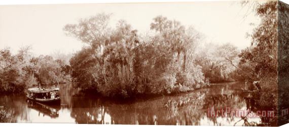 William Henry Jackson  On The Tomoka Near Ormond, Florida Stretched Canvas Print / Canvas Art