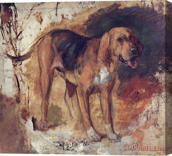 William Holman Hunt Study of a Bloodhound Stretched Canvas Print / Canvas Art