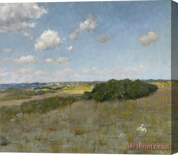 William Merritt Chase Sunlight And Shadow, Shinnecock Hills, C. 1895 Stretched Canvas Print / Canvas Art