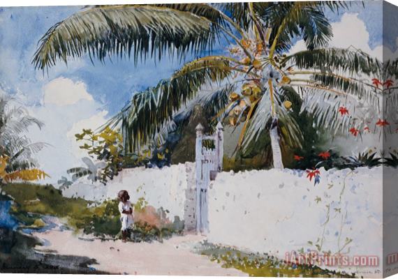 Winslow Homer A Garden in Nassau Stretched Canvas Print / Canvas Art