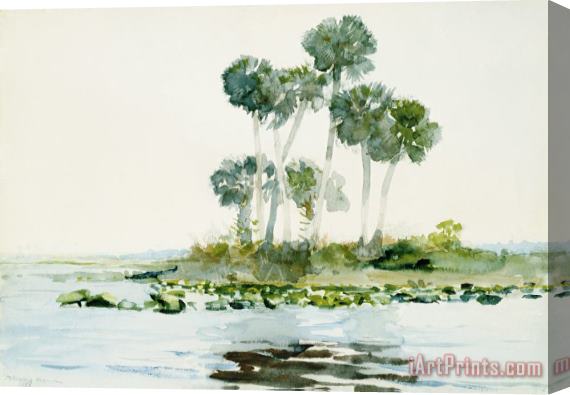 Winslow Homer St. Johns River, Florida Stretched Canvas Print / Canvas Art