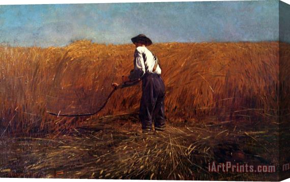 Winslow Homer The Veteran in a New Field Stretched Canvas Print / Canvas Art