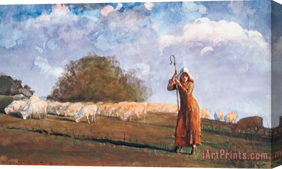 Winslow Homer The Young Shepherdess Stretched Canvas Painting / Canvas Art