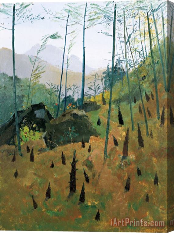 Wu Guanzhong Spring Bamboo Shoots, 1963 Stretched Canvas Print / Canvas Art