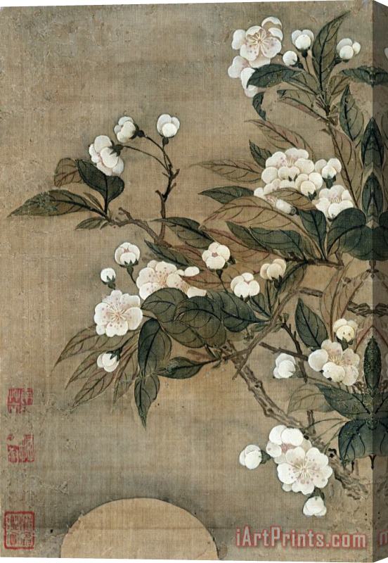 Yun Shouping Pear Blossom And Moon Stretched Canvas Print / Canvas Art