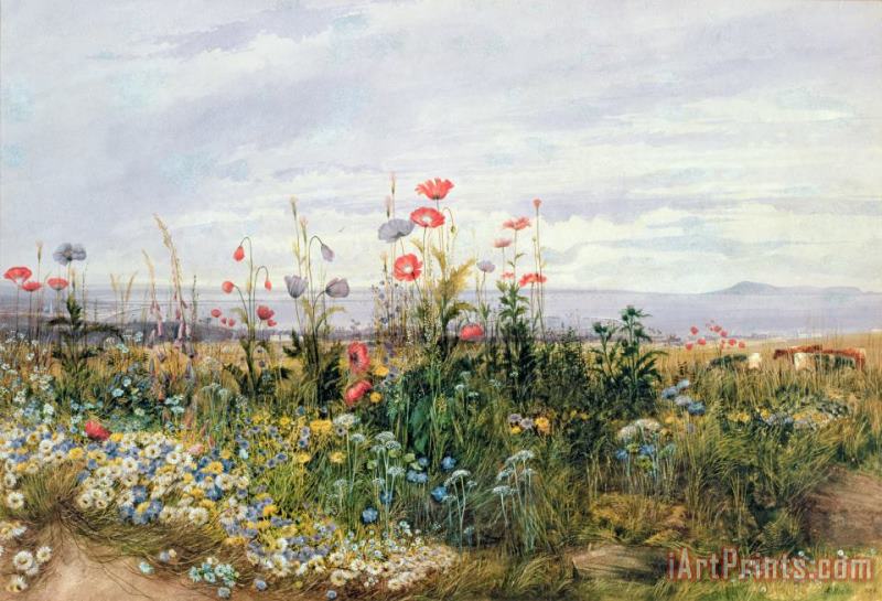 A Nicholl Wildflowers with a View of Dublin Dunleary Art Print