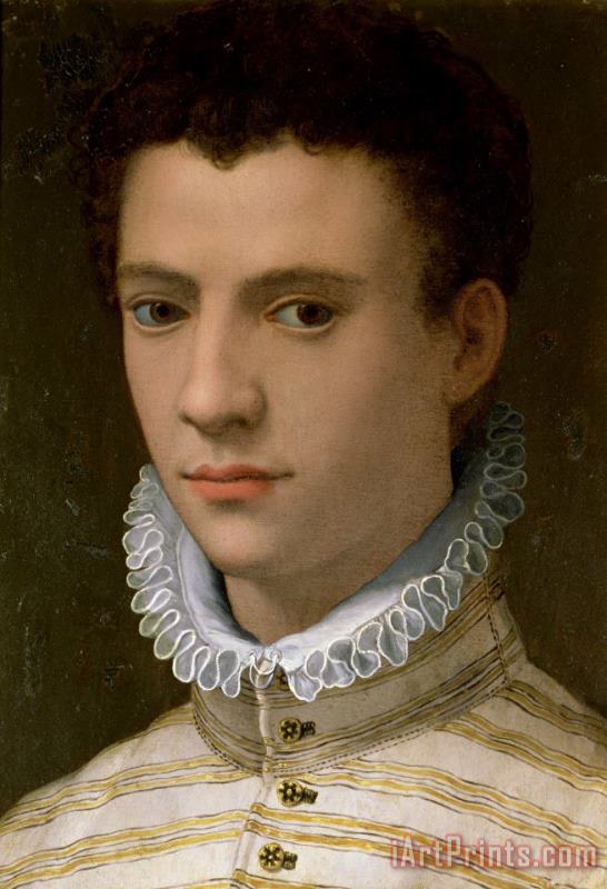 Agnolo Bronzino Portrait of a Young Man Art Print