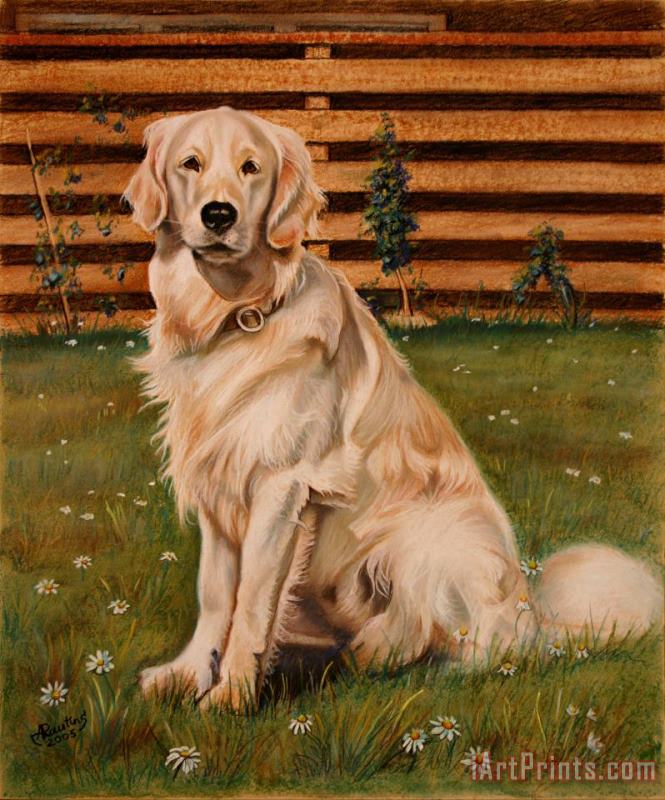 Drawing of a Golden Retriever painting - Agris Rautins Drawing of a Golden Retriever Art Print