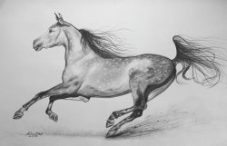 Agris Rautins Galloping horse