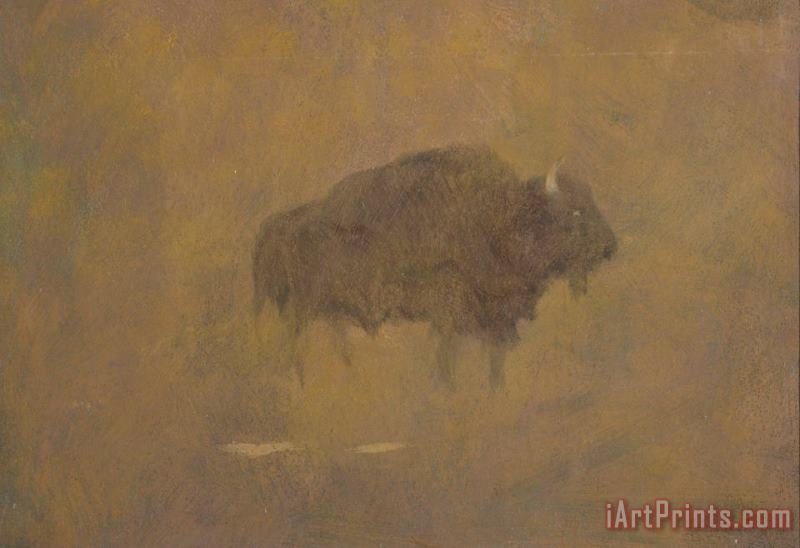 Buffalo in a Sandstorm painting - Albert Bierstadt Buffalo in a Sandstorm Art Print