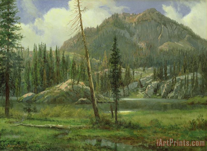 Sierra Nevada Mountains painting - Albert Bierstadt Sierra Nevada Mountains Art Print