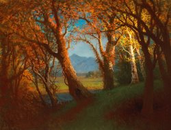 Albert Bierstadt Sunset in the Nebraska Territory painting