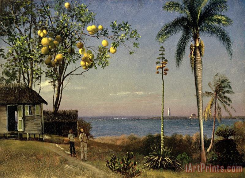 Tropical Scene painting - Albert Bierstadt Tropical Scene Art Print