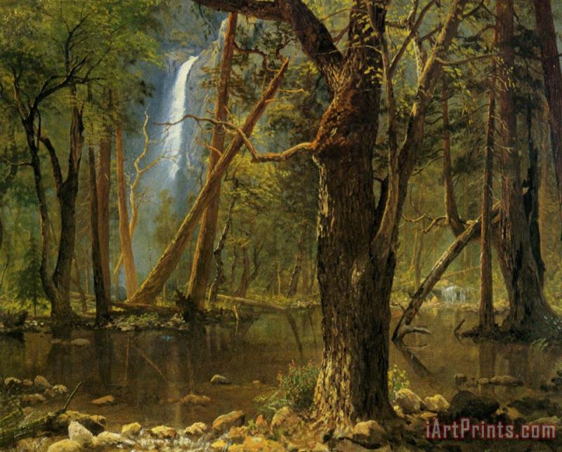 View in Yosemite Valley painting - Albert Bierstadt View in Yosemite Valley Art Print