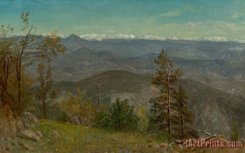 Yosemite Valley, California painting - Albert Bierstadt Yosemite Valley, California Art Print