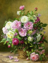 Albert Williams Roses