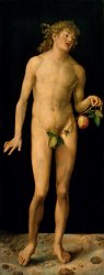 Albrecht Duerer Adam