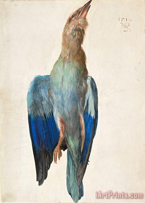 Albrecht Durer Dead Blue Roller, 1500 (or 1512) Art Print