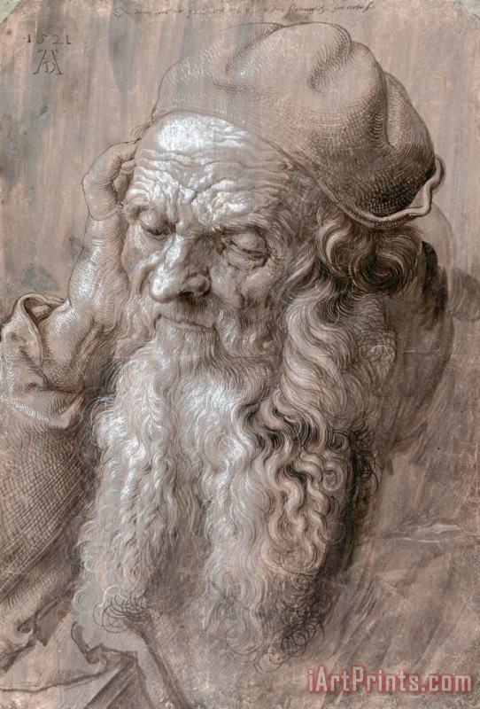Albrecht Durer Head of an Old Man, 1521 Art Painting