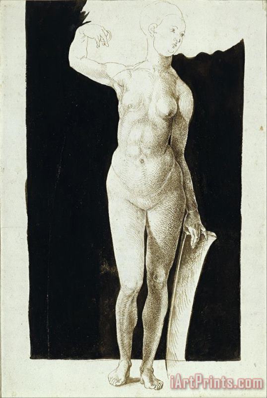 Proportion Study of Female Nude with a Shield painting - Albrecht Durer Proportion Study of Female Nude with a Shield Art Print