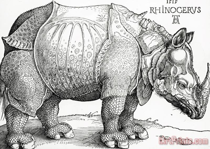 Albrecht Durer The Rhinoceros Art Print