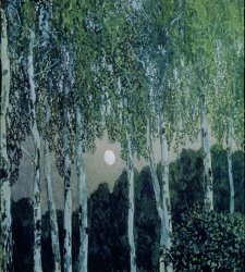 Aleksandr Jakovlevic Golovin Birch Trees
