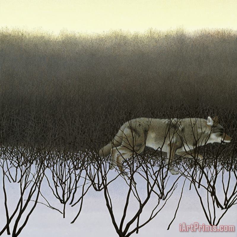 Alex Colville Coyotes And Alders Art Print