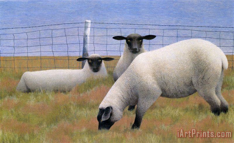 Three Sheep painting - Alex Colville Three Sheep Art Print