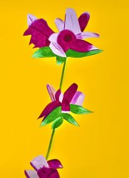 Alex Katz Azaleas on Yellow, From The Flowers Portfolio, 2021
