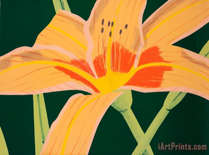 Alex Katz Day Lily 1, 1969 Art Painting