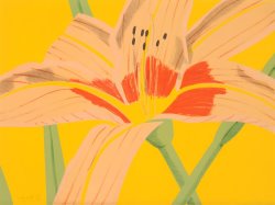 Alex Katz Day Lily 2