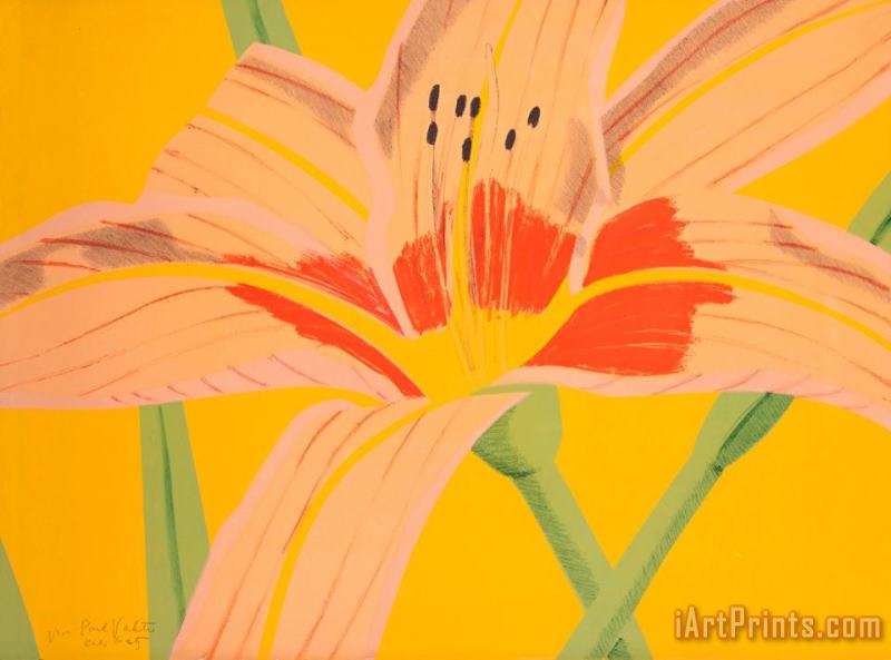 Alex Katz Day Lily 2, 1969 Art Painting