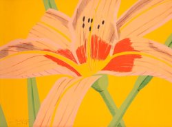 Alex Katz Day Lily 2, 1969