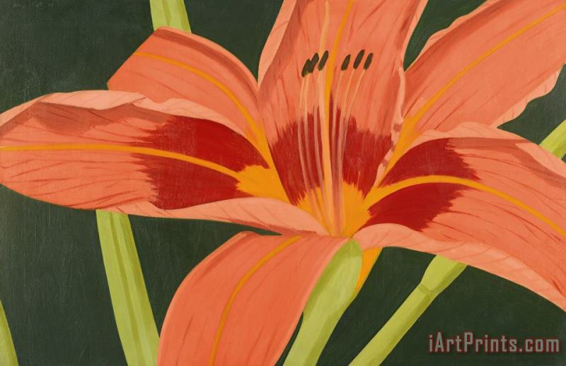Alex Katz Tiger Lily Art Painting