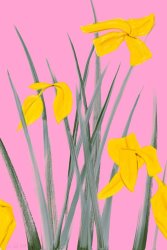 Alex Katz Yellow Flags 3, 2020