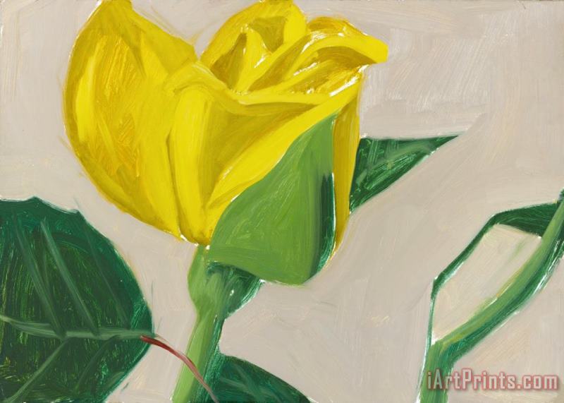 Yellow Rose painting - Alex Katz Yellow Rose Art Print