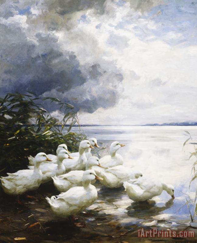 Alexander Max Koester Ducks at The Lake's Edge Art Print