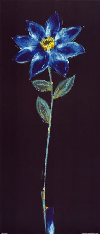 alfred gockel Midnight Blue Daisy Panel Art Painting