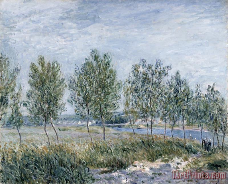 Alfred Sisley Poplars on a River Bank Art Painting