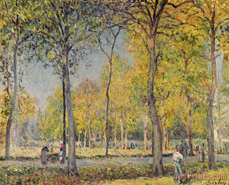 The Bois de Boulogne painting - Alfred Sisley The Bois de Boulogne Art Print