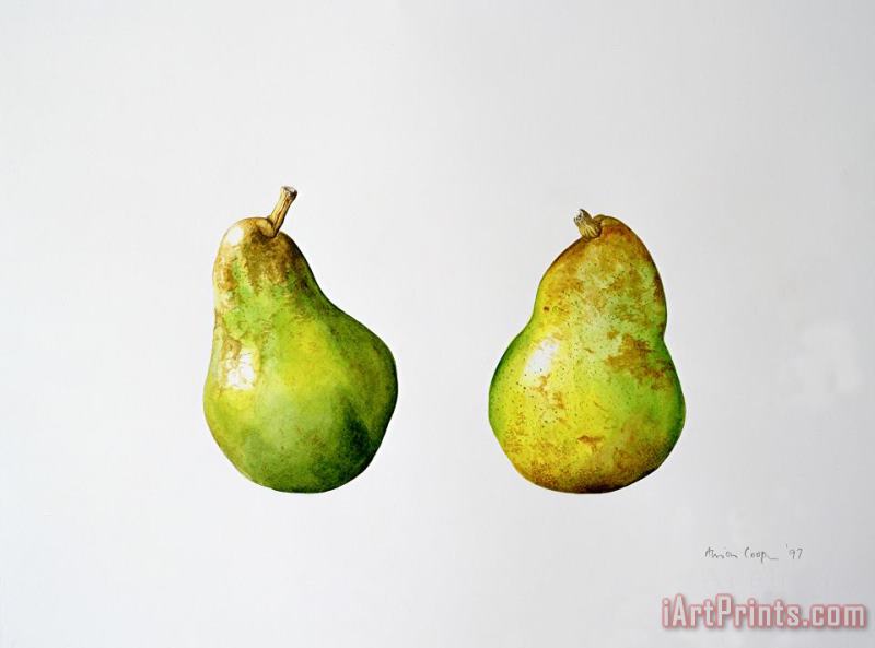 A Pair of Pears painting - Alison Cooper A Pair of Pears Art Print