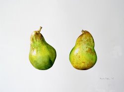 Alison Cooper A Pair of Pears