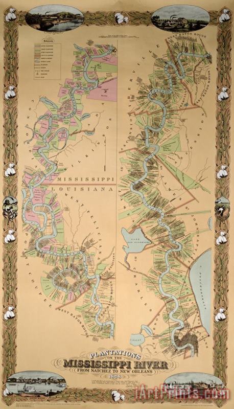 Map depicting plantations on the Mississippi River from Natchez to New Orleans painting - American School Map depicting plantations on the Mississippi River from Natchez to New Orleans Art Print
