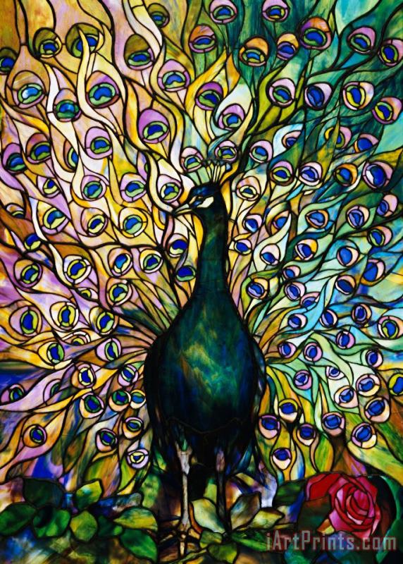 Peacock painting - American School Peacock Art Print