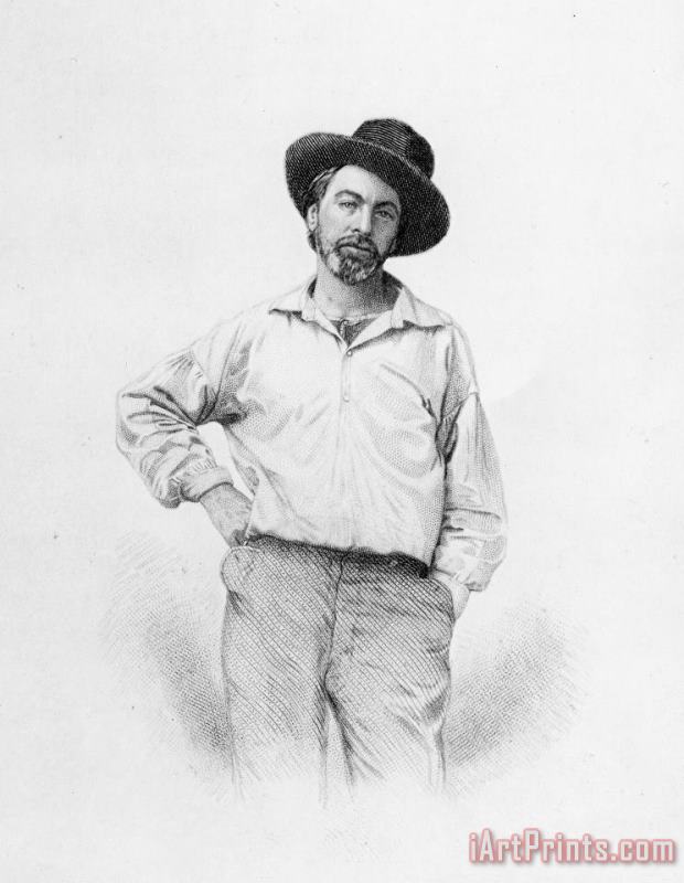 American School Walt Whitman Frontispiece To Leaves Of Grass Art Painting