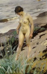 Anders Leonard Zorn Sandhamn Study painting