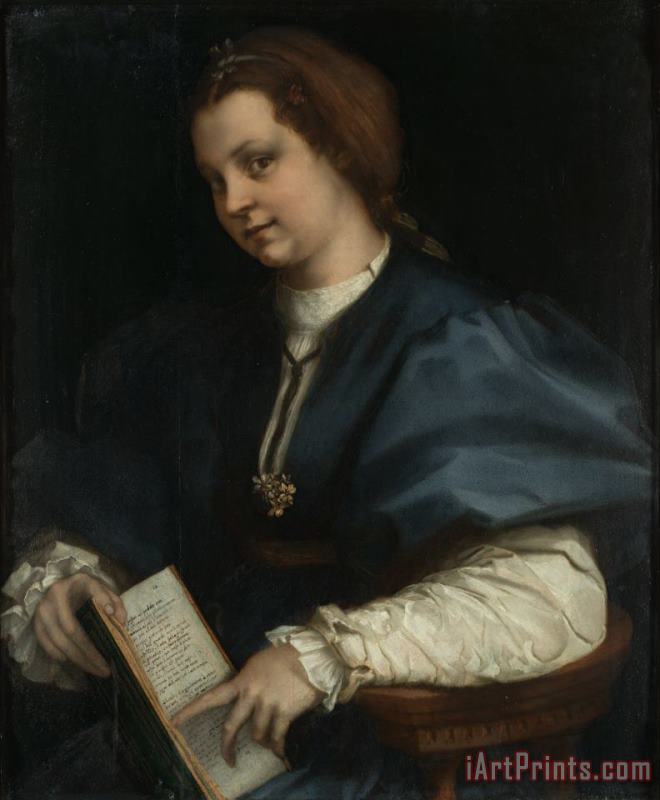 Andrea del Sarto Lady with a Book of Petrarch's Rhyme Art Painting