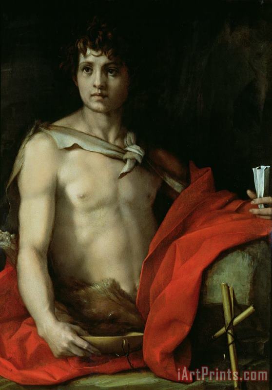 Andrea del Sarto Saint John the Baptist Art Painting